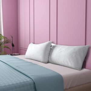 Large Soft Pillow (20″ x 32″)