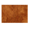 Bath Mat Anti-skid (Rust)