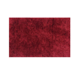 Bath Mat Anti-skid (Maroon) Small