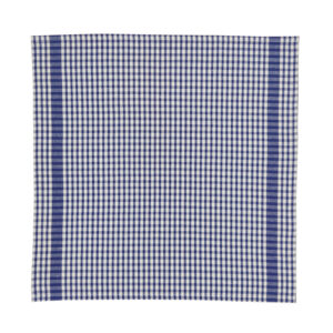 Kitchen Napkins (Blue)